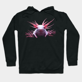 pink Axolotl Hoodie